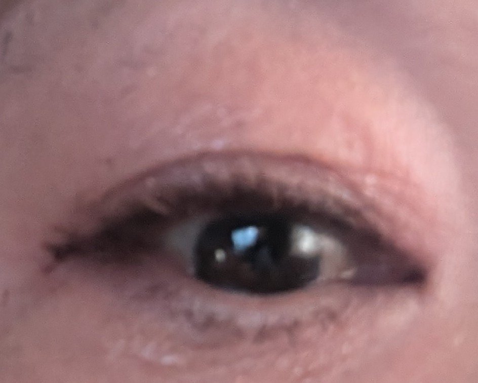 イロミッケ カラーリキッドアイライナー 09 メタリックブラウン(Metallic Brown)/iromikke/リキッドアイライナーを使ったクチコミ（2枚目）