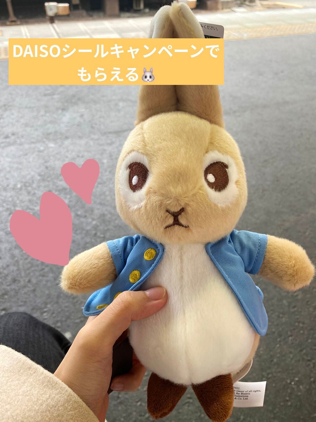 試してみた】DAISO ピーターラビット ぬいぐるみのリアルな 試してみた】DAISO ピーターラビット ぬいぐるみのリアルな