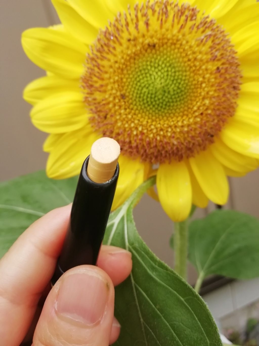 シアーアクアスティックアイズ/LUNASOL/スティックアイシャドウを使ったクチコミ（2枚目）