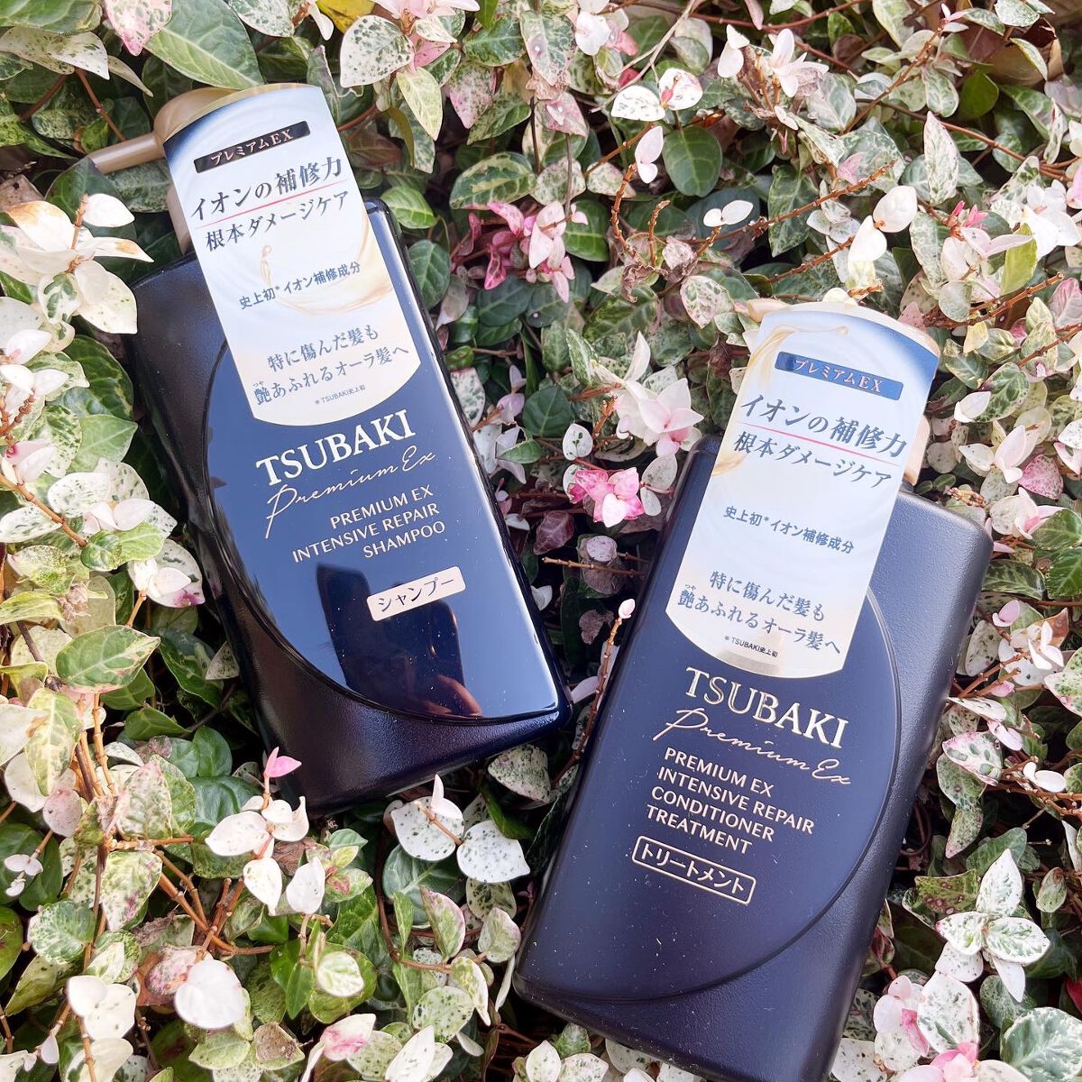 プレミアムＥＸ インテンシブリペア ＜シャンプー＞／コンディショナー＜ヘアトリートメント＞  シャンプー（つめかえ用）330ml/TSUBAKI/市販シャンプーを使ったクチコミ（1枚目）