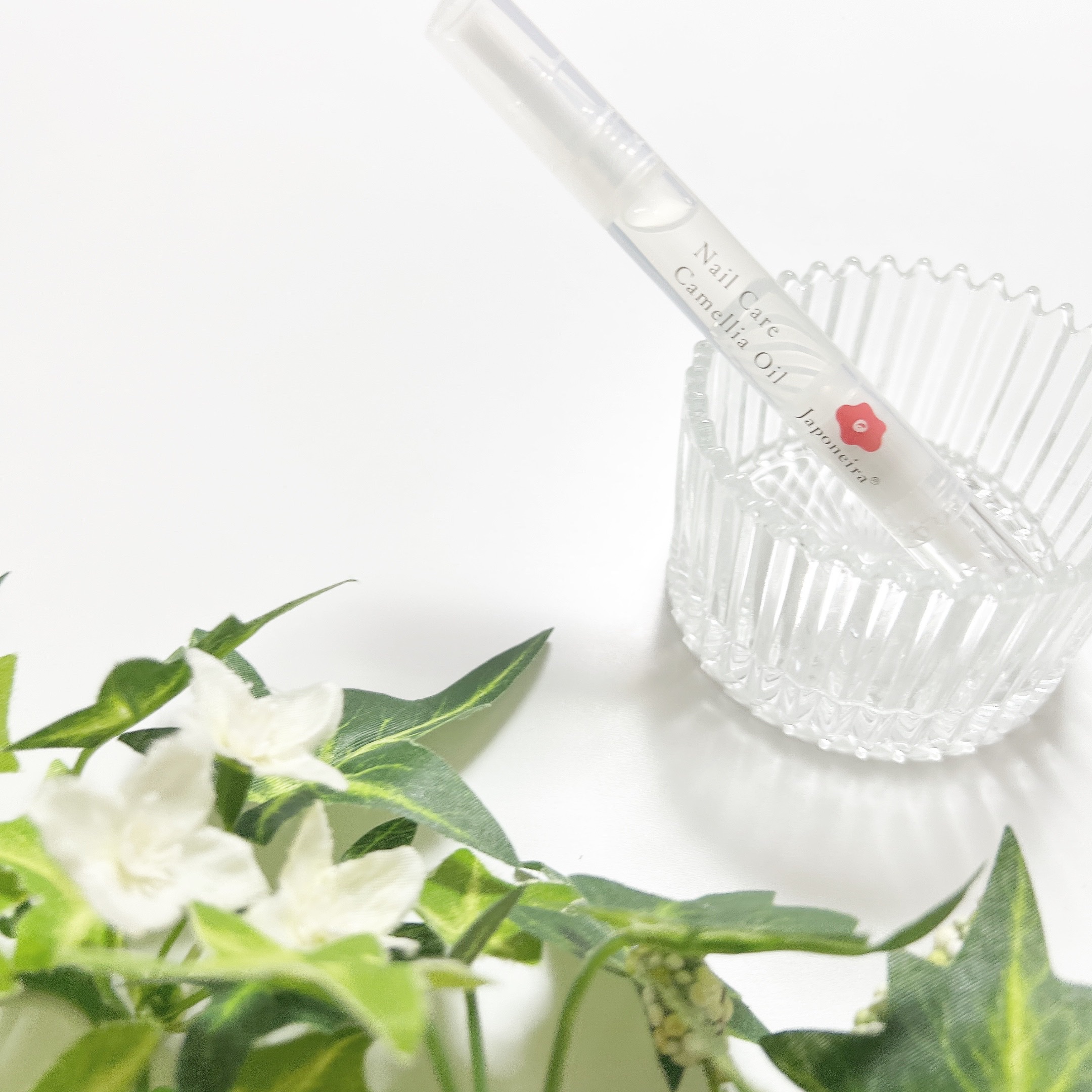 生の椿油 ネイルケア/Japoneira/ネイルオイル・トリートメントを使ったクチコミ（1枚目）