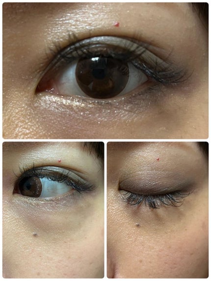 フェリンアイズ インテンスアイシャドウ クアッド 1/DOLCE&GABBANA BEAUTY/アイシャドウパレットを使ったクチコミ(3枚目)