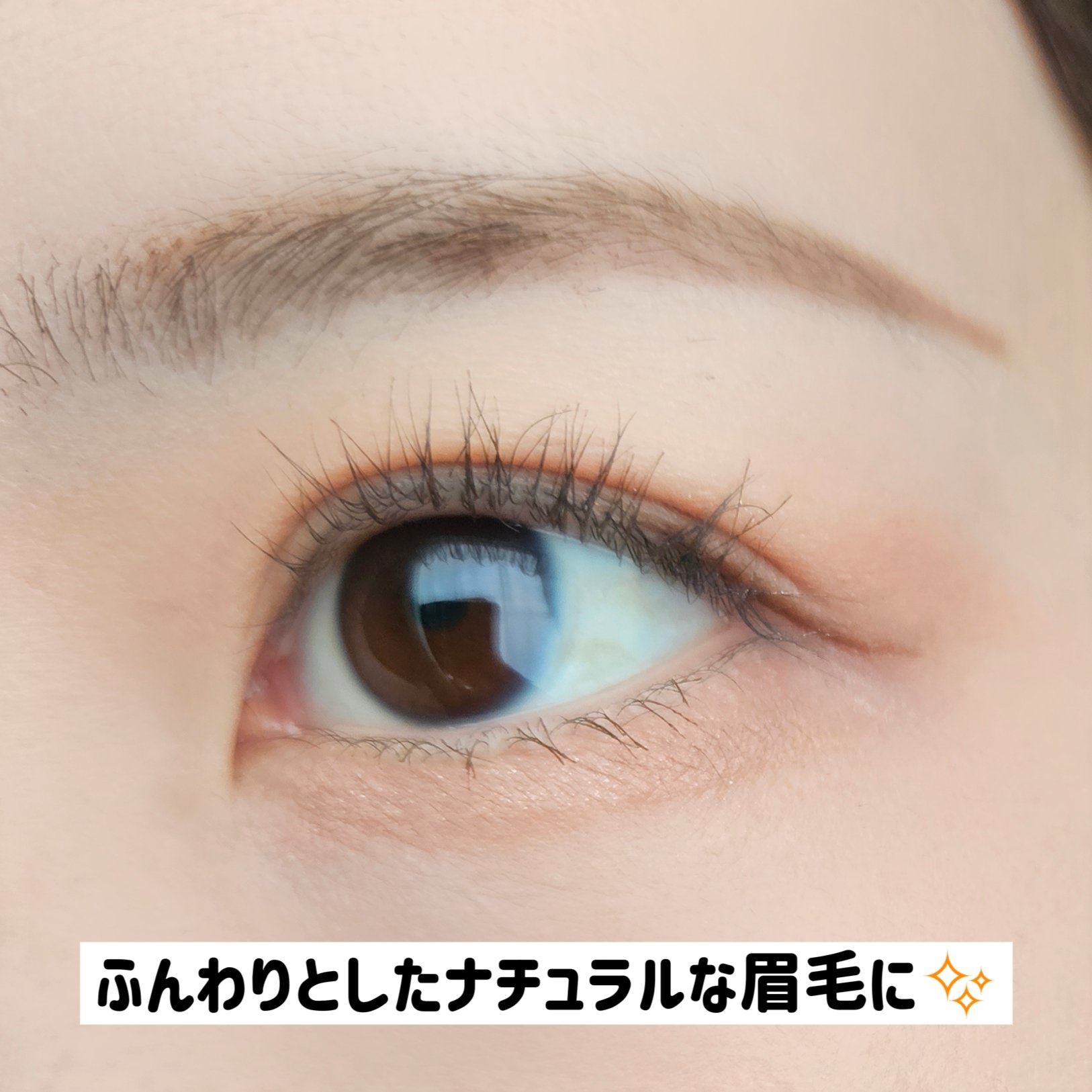 キスミー ヘビーローテーション ワックスブロウクリエイター 01 ナチュラルブラウン/ヘビーローテーション/パウダーアイブロウを使ったクチコミ（3枚目）