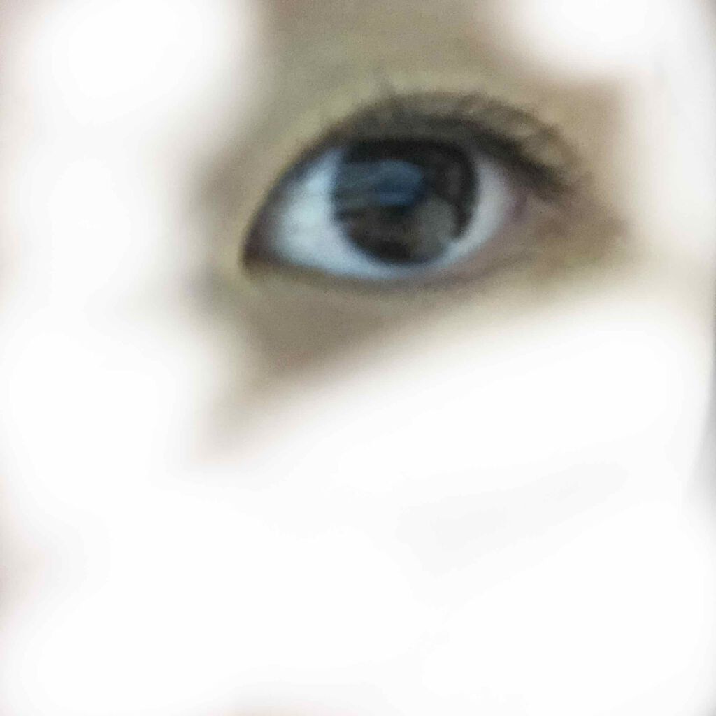 携帯用アイラッシュカーラー/無印良品/ビューラーを使ったクチコミ(3枚目)