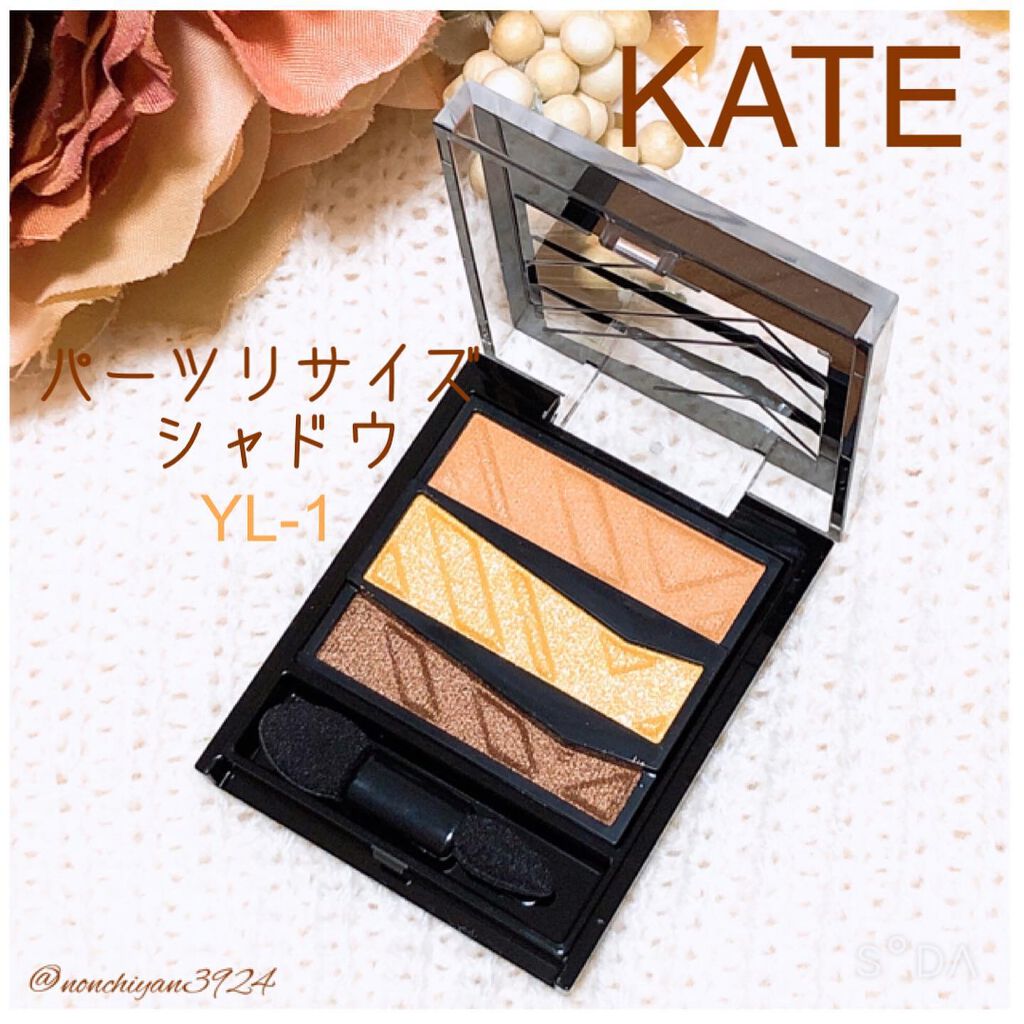 パーツリサイズシャドウ/KATE/アイシャドウパレットを使ったクチコミ（1枚目）