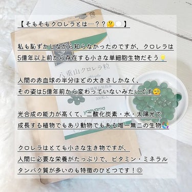 八重山クロレラ粒/麗幸/健康サプリメントを使ったクチコミ（2枚目）