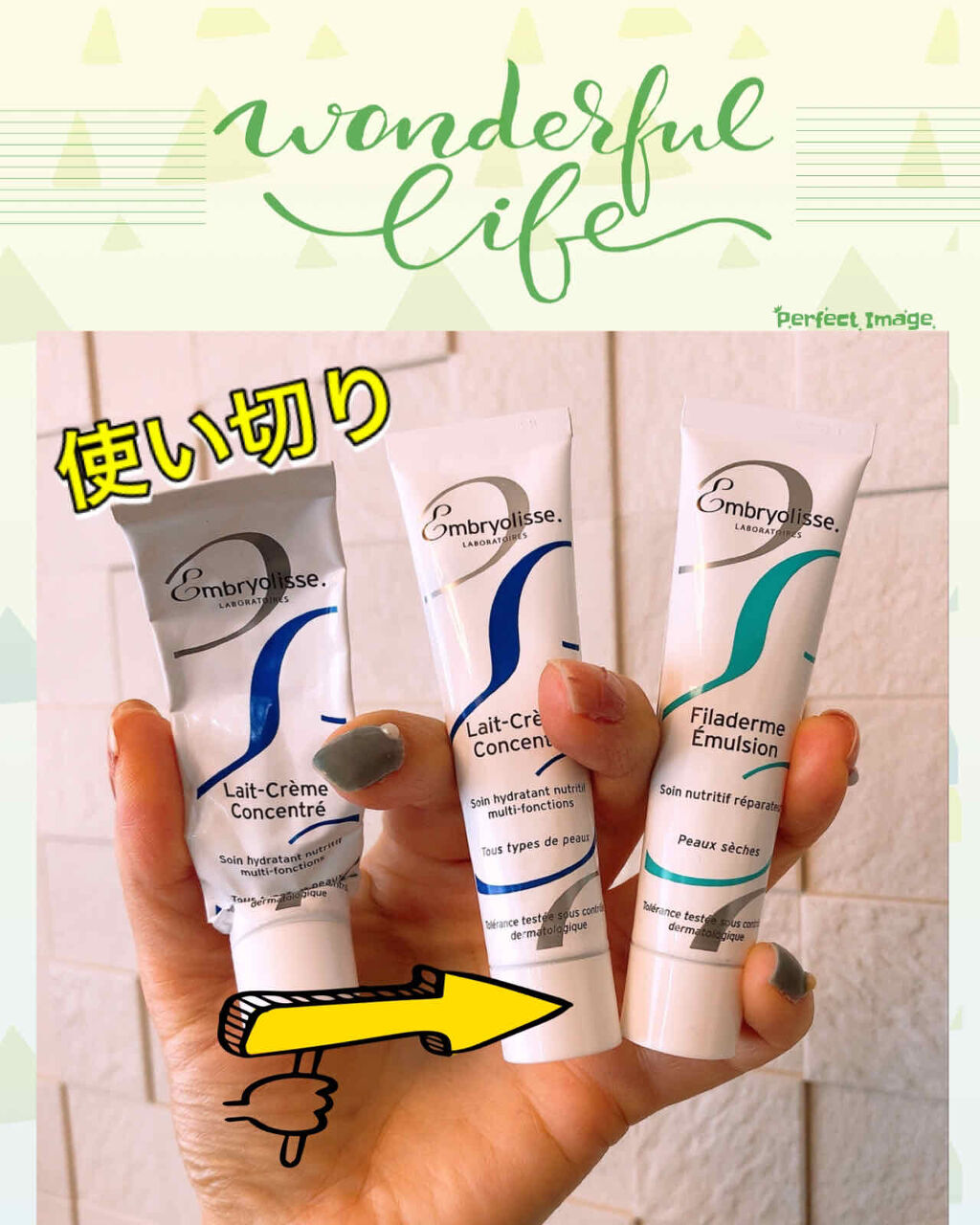 アンブリオリス モイスチャークリーム/アンブリオリス/フェイスクリームを使ったクチコミ（1枚目）