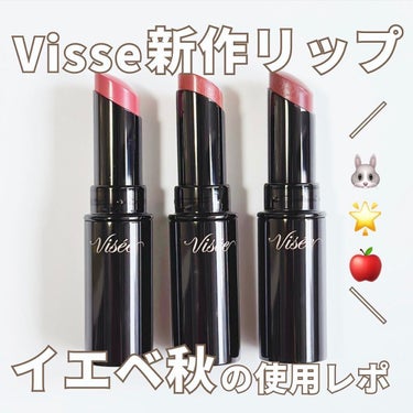 ネンマクフェイク ルージュ/Visée/口紅を使ったクチコミ（1枚目）