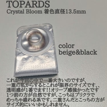 TOPARDS 1day/TOPARDS/ワンデー（１DAY）カラコンを使ったクチコミ（3枚目）