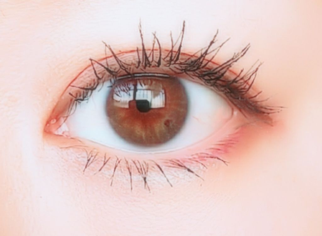 ショコラスウィート アイズ ソフトマット/リンメル ロンドン/アイシャドウパレットを使ったクチコミ（1枚目）