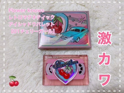 レトロマグネティック アイシャドウパレット/FlowerKnows/アイシャドウパレットを使ったクチコミ(1枚目)