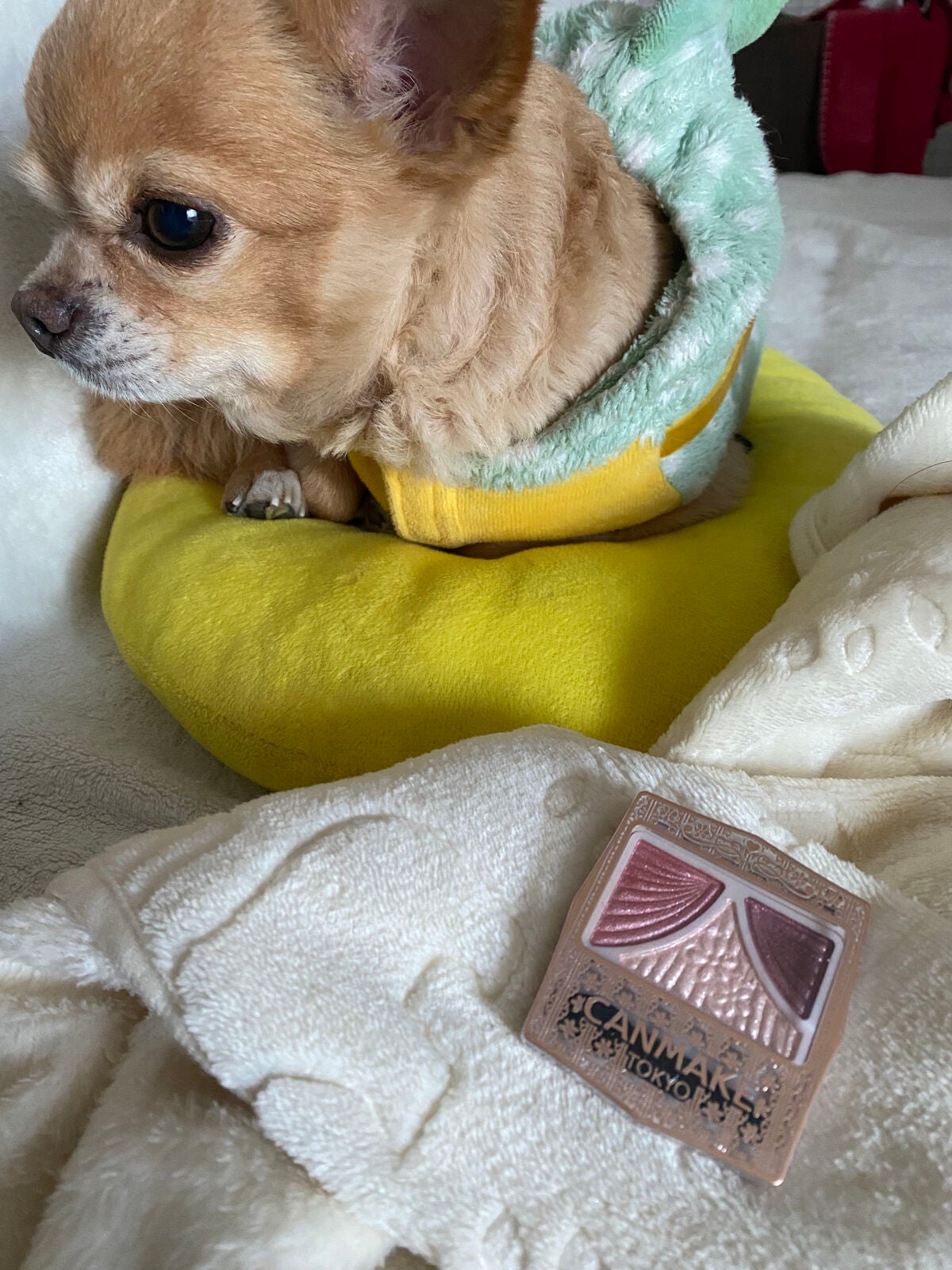 ジューシーピュアアイズ/キャンメイク/アイシャドウパレットを使ったクチコミ(3枚目)