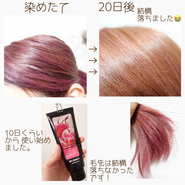 倒産 バイソン 出発する アンナドンナ レッド 換気する たっぷり クリケット
