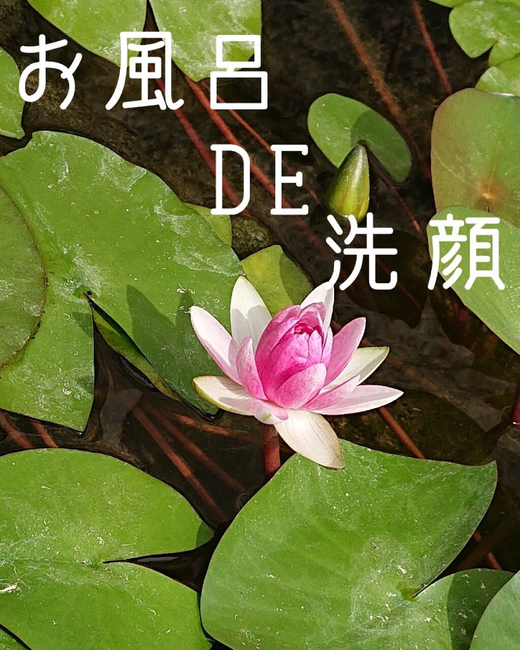 お手入れロールシート/キャンドゥ/化粧下地を使ったクチコミ（1枚目）