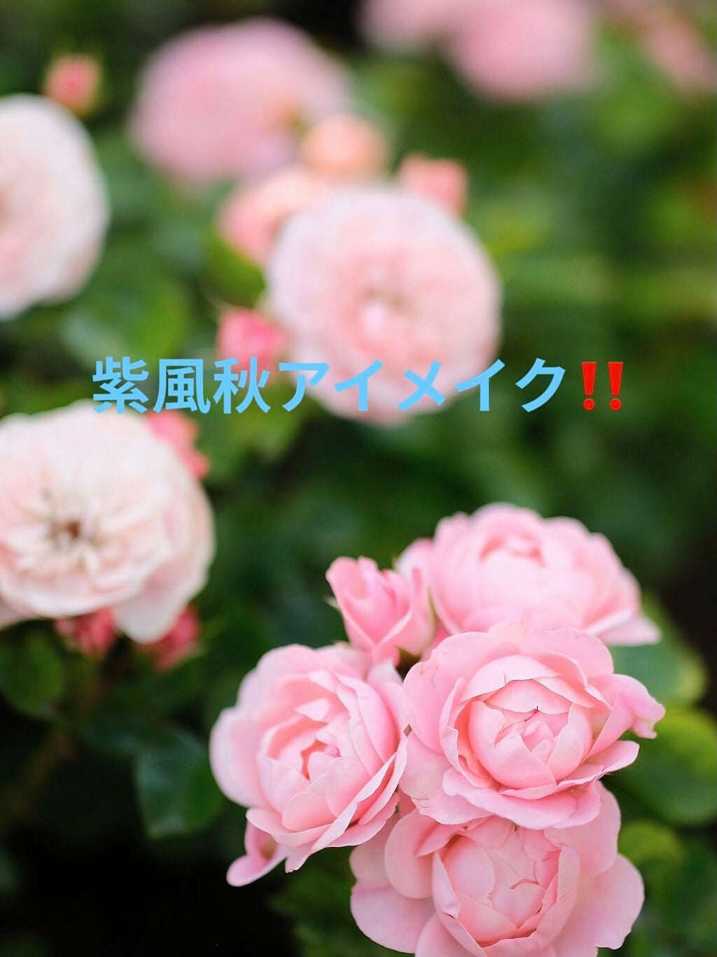 プロ アイ パレット/CLIO/アイシャドウパレットを使ったクチコミ(1枚目)