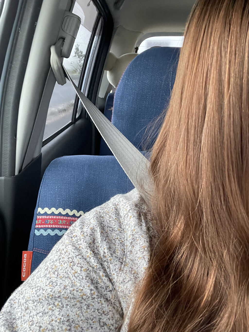 ホイップヘアカラー 髪色もどし ナチュラルブラック/ビューティラボ/ヘアカラーを使ったクチコミ（1枚目）