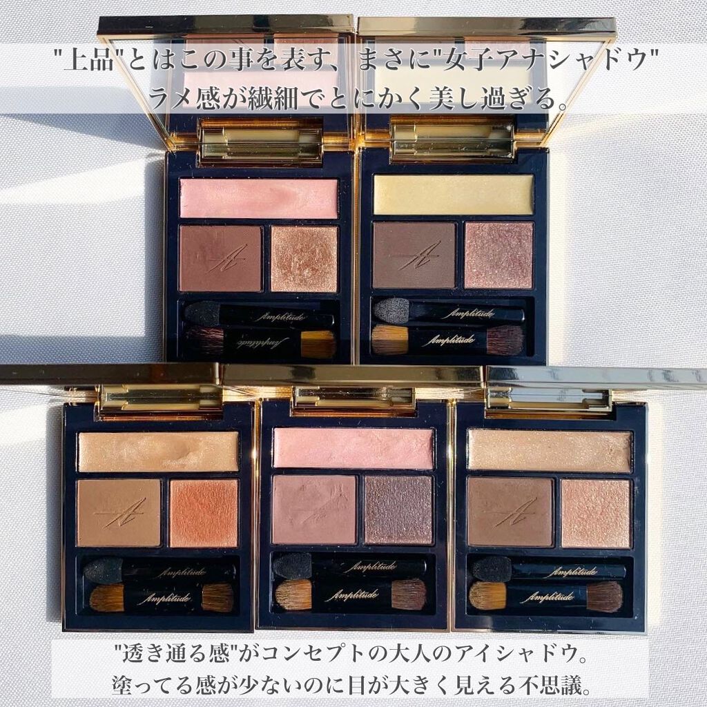 コンスピキュアス アイズ 06 ダークブラウン/Amplitude/アイシャドウパレットを使ったクチコミ（2枚目）