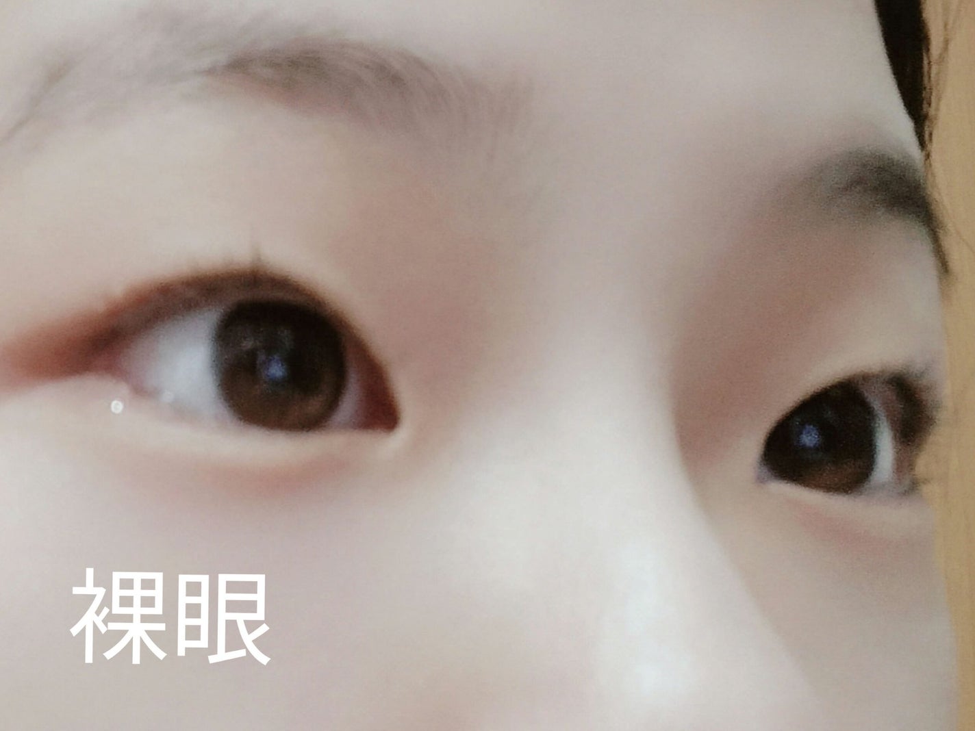 MOLAK 1day/MOLAK/ワンデー(1DAY)カラコンを使ったクチコミ(2枚目)