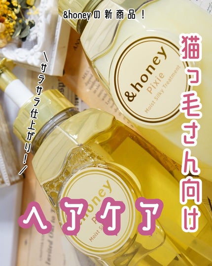 ã¢ã³ããã㌠ãã¯ã·ãŒ ã¢ã€ã¹ãã·ã«ã㌠ã·ã£ã³ããŒ1.0/ãã¢ããªãŒãã¡ã³ã2.0/&honey/åžè²©ã·ã£ã³ããŒã䜿ã£ãã¯ãã³ãïŒ1æç®ïŒ