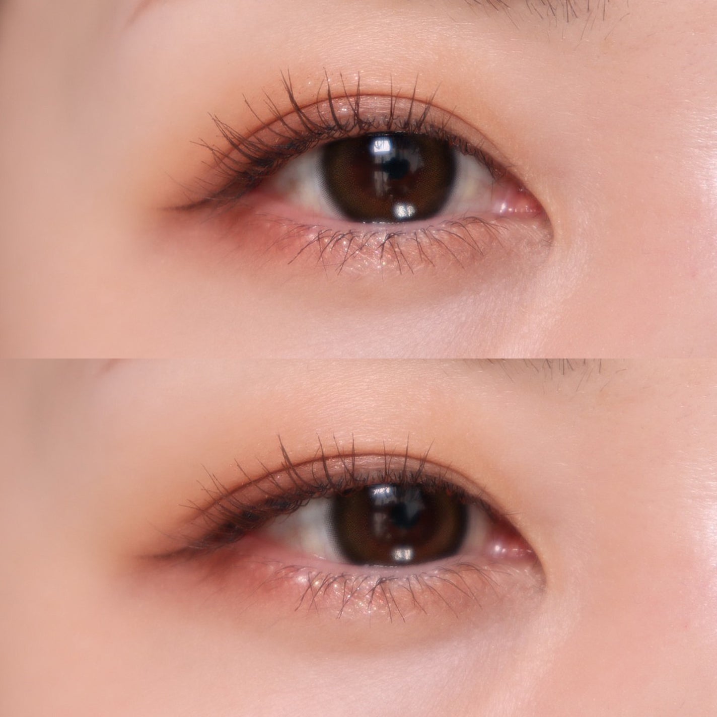 ビタートーンアイシャドウ/CEZANNE/パウダーアイシャドウを使ったクチコミ(5枚目)