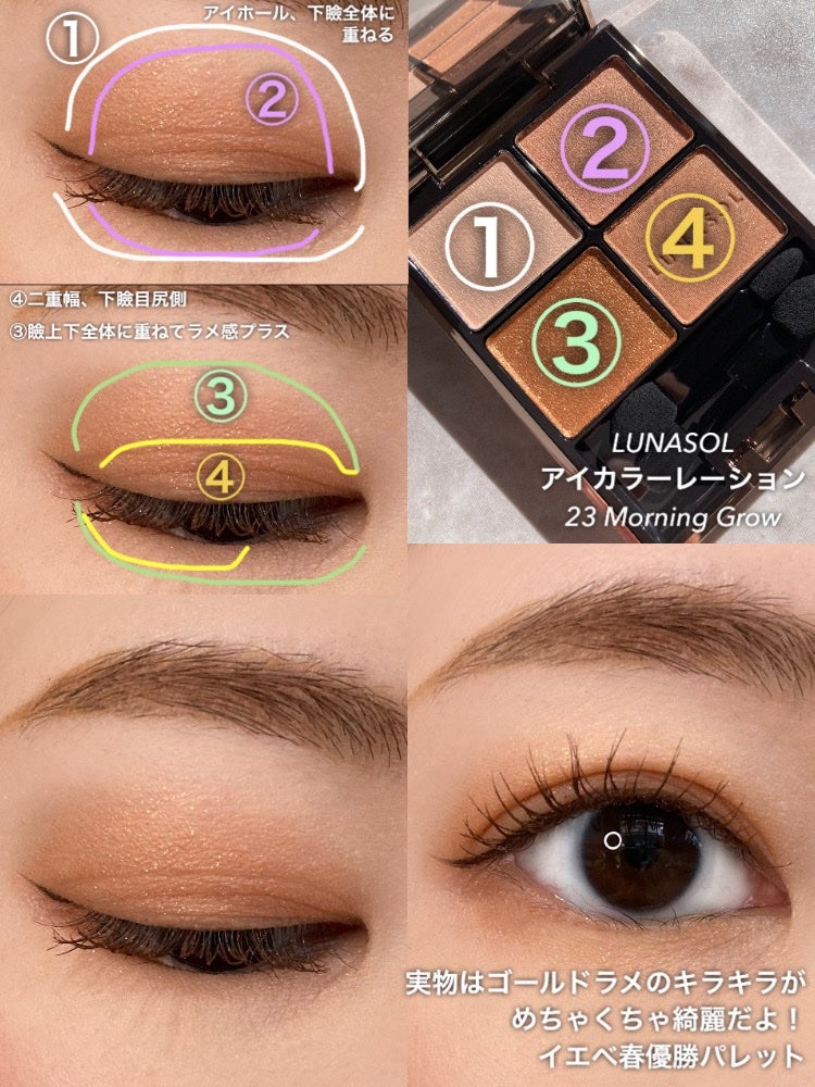 アイカラーレーション/LUNASOL/アイシャドウパレットを使ったクチコミ(4枚目)