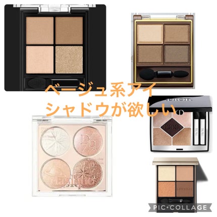 スキニーリッチシャドウ/excel/アイシャドウパレットを使ったクチコミ(2枚目)