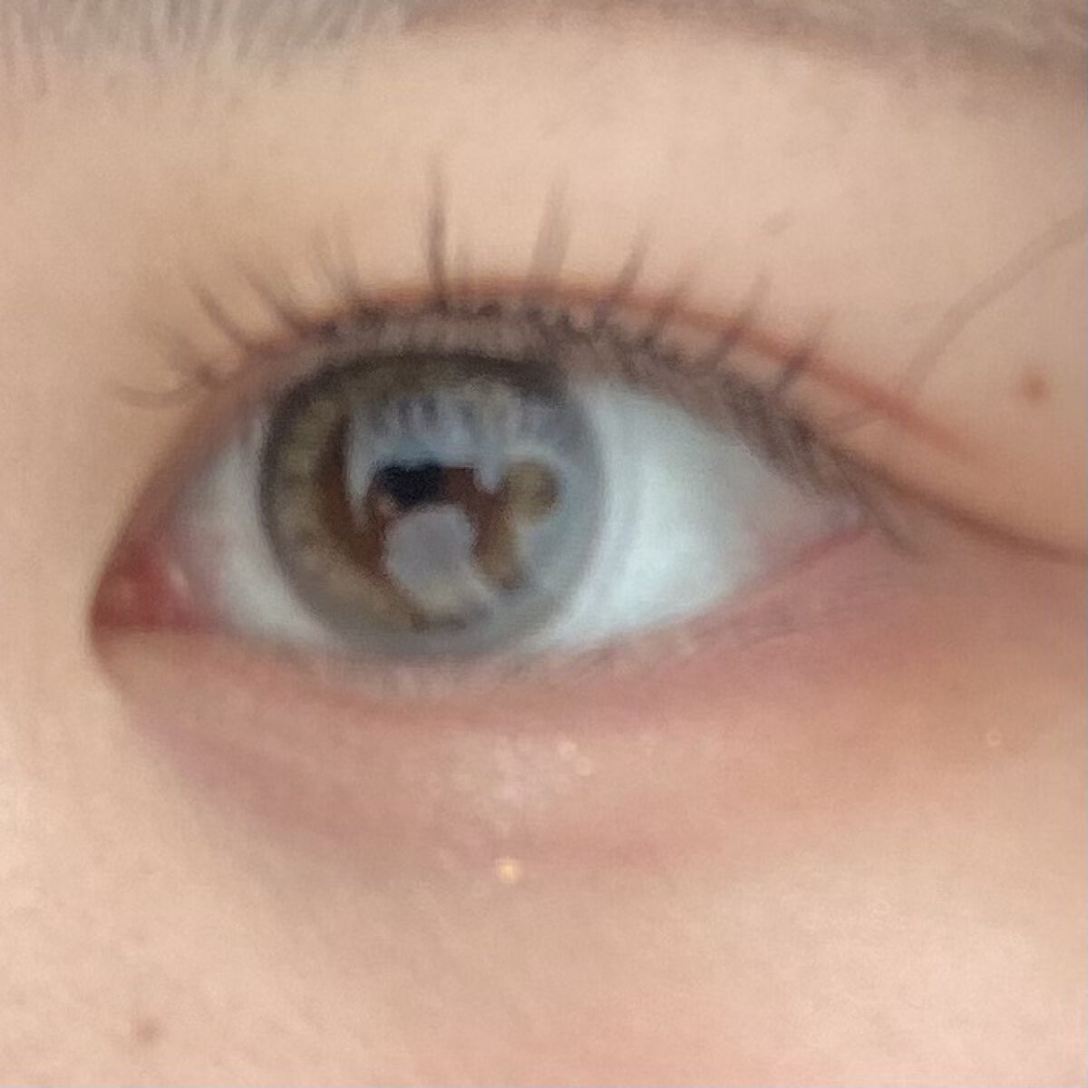 ドーリーウインク サロンアイラッシュ/ドーリーウインク/つけまつげを使ったクチコミ（2枚目）