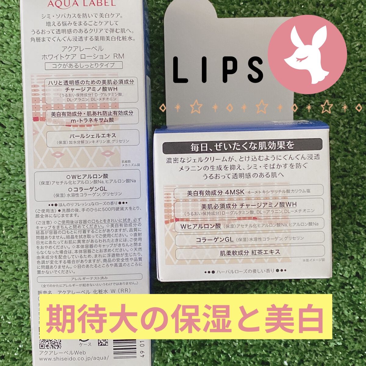 ブライトニングケア ローション M（医薬部外品）/アクアレーベル/化粧水を使ったクチコミ（2枚目）