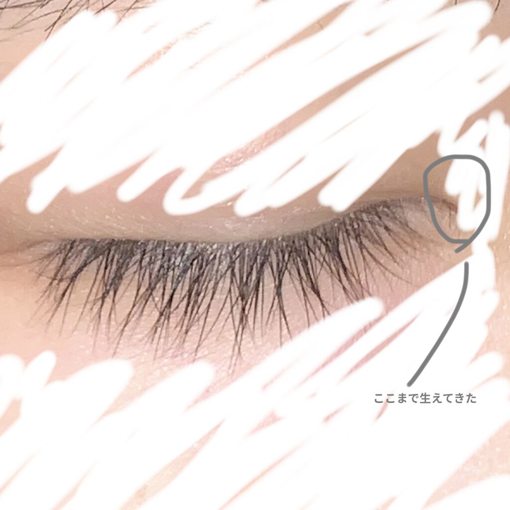まつげ美容液EX/CEZANNE/まつげ美容液を使ったクチコミ（2枚目）