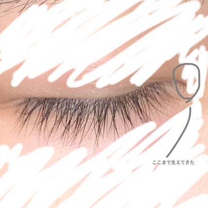 まつげ美容液EX/CEZANNE/まつげ美容液を使ったクチコミ(2枚目)