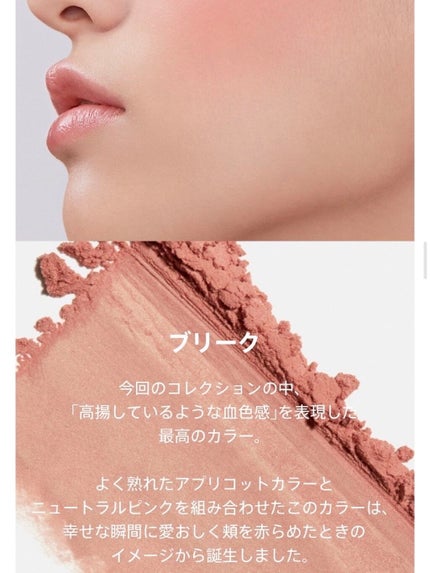 New Level Eyeshadow Palette/Laka/アイシャドウパレットを使ったクチコミ(8枚目)