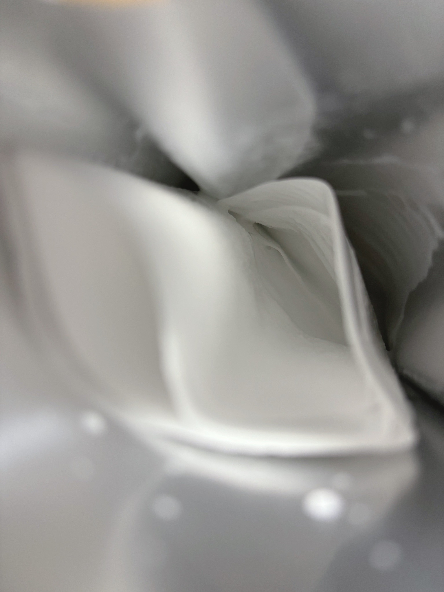 我的美麗日記（私のきれい日記）大豆発酵マスク/我的美麗日記/シートマスク・パックを使ったクチコミ（2枚目）