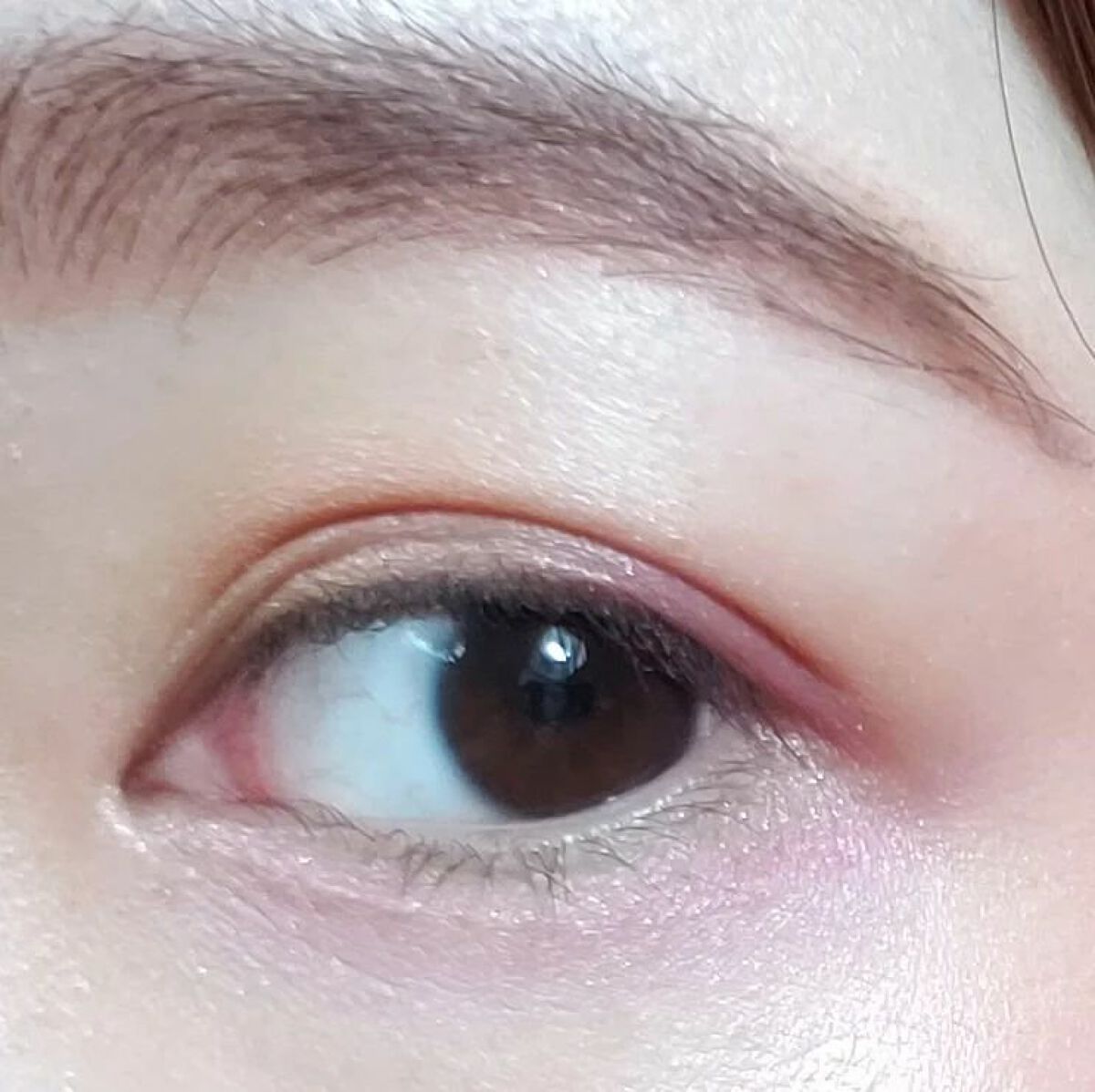 アイカラーレーション/LUNASOL/アイシャドウパレットを使ったクチコミ(4枚目)