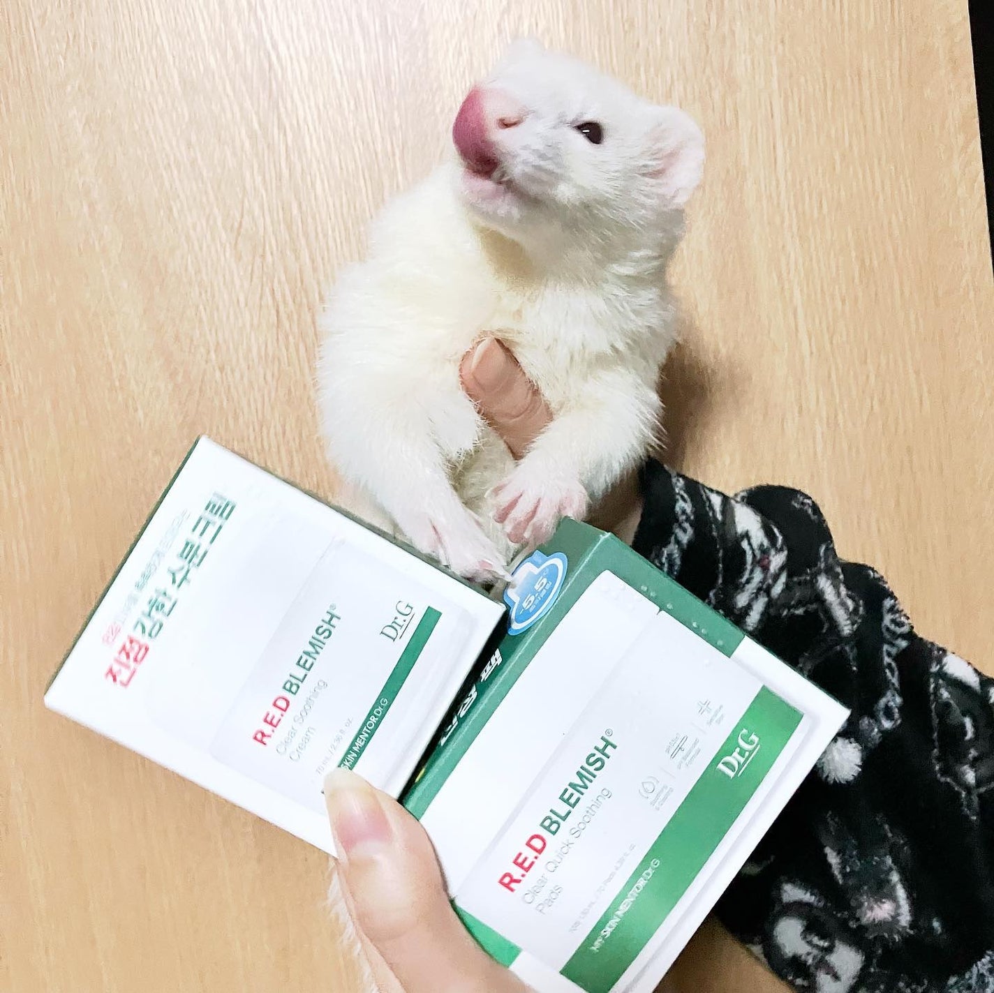 レッドブレミッシュクリアクイックスージングパック/Dr.G/拭き取り化粧水を使ったクチコミ(2枚目)