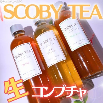 生コンブチャ/SCOBY TEA /コンブチャを使ったクチコミ(1枚目)