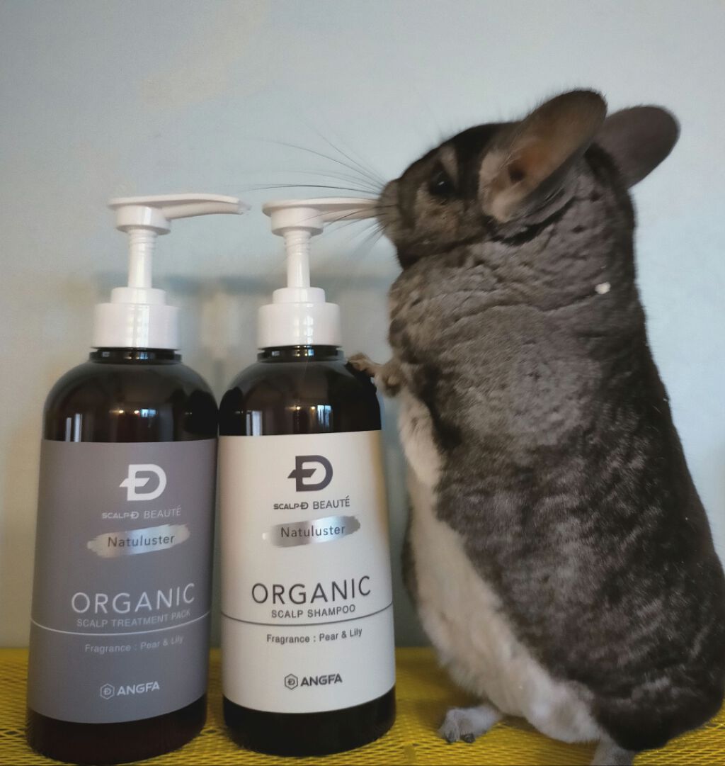 スカルプD ボーテ ナチュラスター スカルプシャンプー／トリートメントパック/アンファー(スカルプD)/シャンプー・コンディショナーを使ったクチコミ（1枚目）