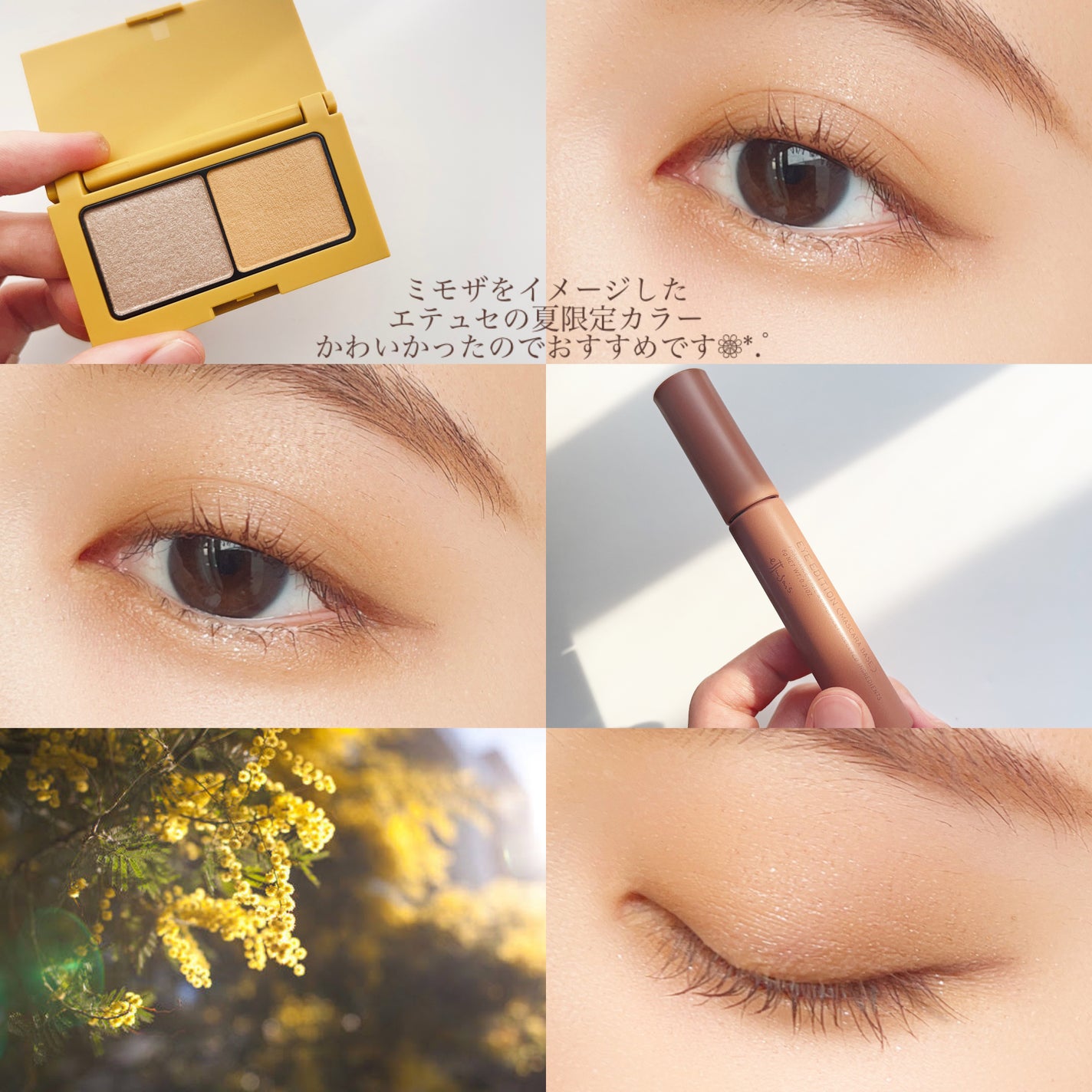 エテュセ アイエディション(マスカラベース)LE/ettusais/マスカラ下地を使ったクチコミ(5枚目)