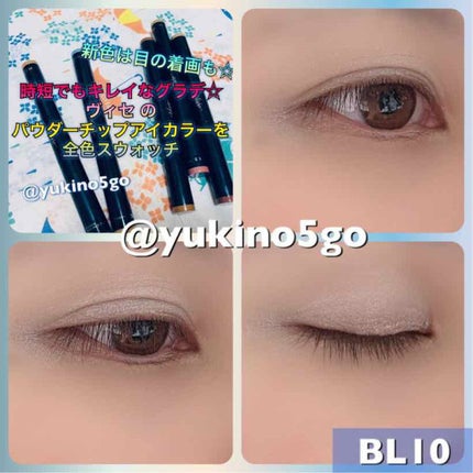 パウダーチップ アイカラー/Visée/アイシャドウパレットを使ったクチコミ(4枚目)