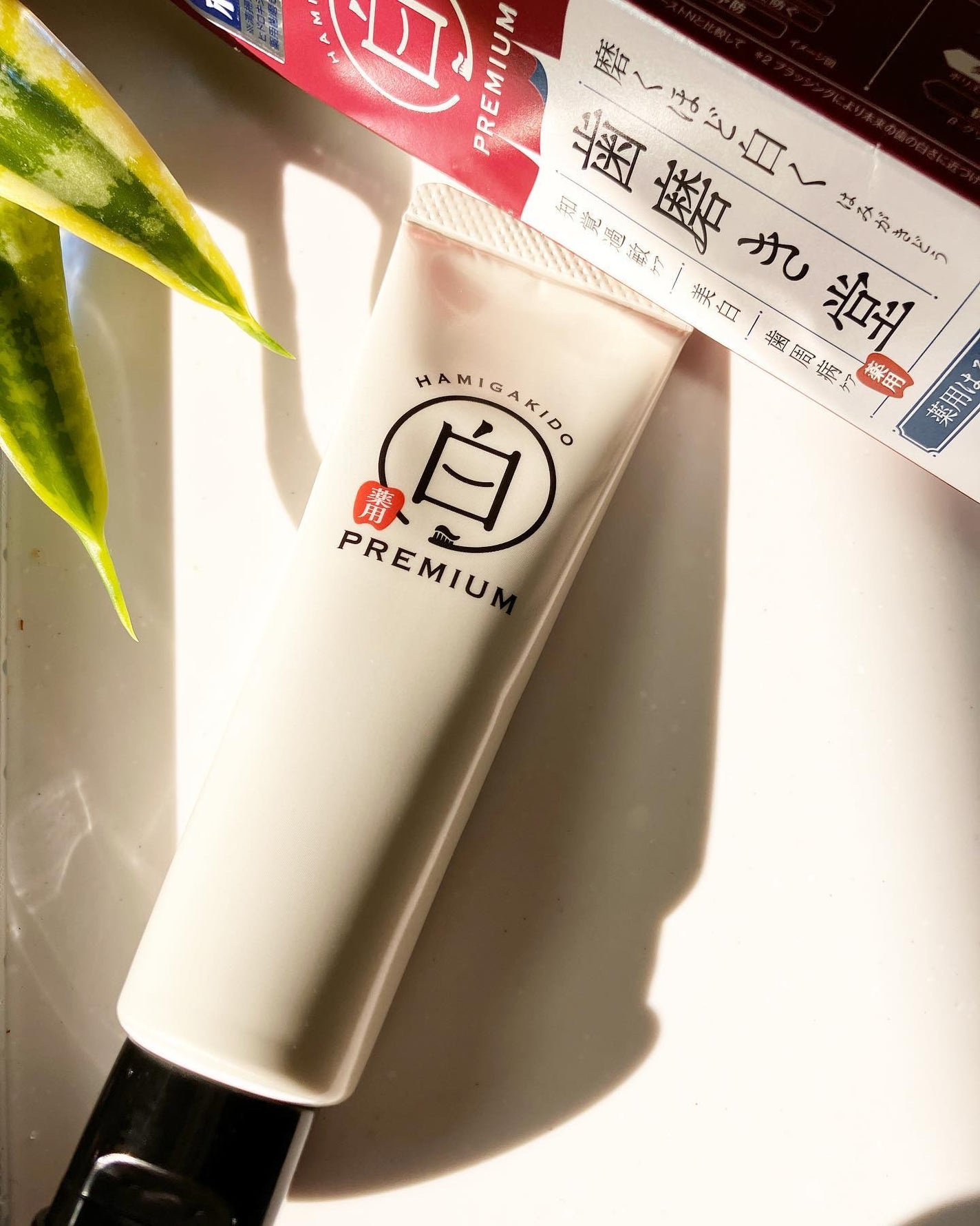 マミマロロン on LIPS 「🌿歯磨き堂 医薬部外品薬用ホワイトニングペーストプレミアム1,..」(2枚目)