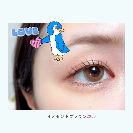 リッチスタンダード スタンダードライン 1day/RICH STANDARD/ワンデー(1DAY)カラコンを使ったクチコミ(4枚目)