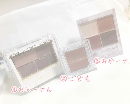 パーフェクトマルチアイズ/キャンメイク/アイシャドウパレットを使ったクチコミ(1枚目)