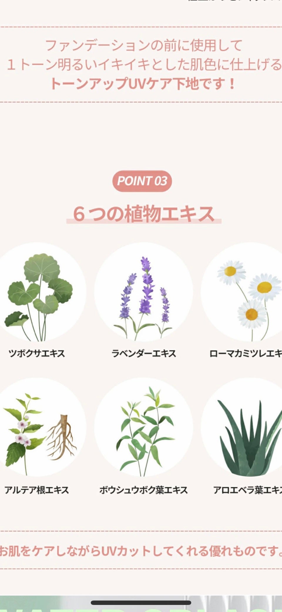 ウォータースプラッシュサンクリーム セラミド/espoir/日焼け止めクリームを使ったクチコミ(3枚目)