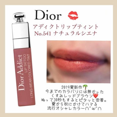 【旧】ディオール アディクト リップ ティント 541 ナチュラル シエナ/Dior/リップグロスを使ったクチコミ（1枚目）