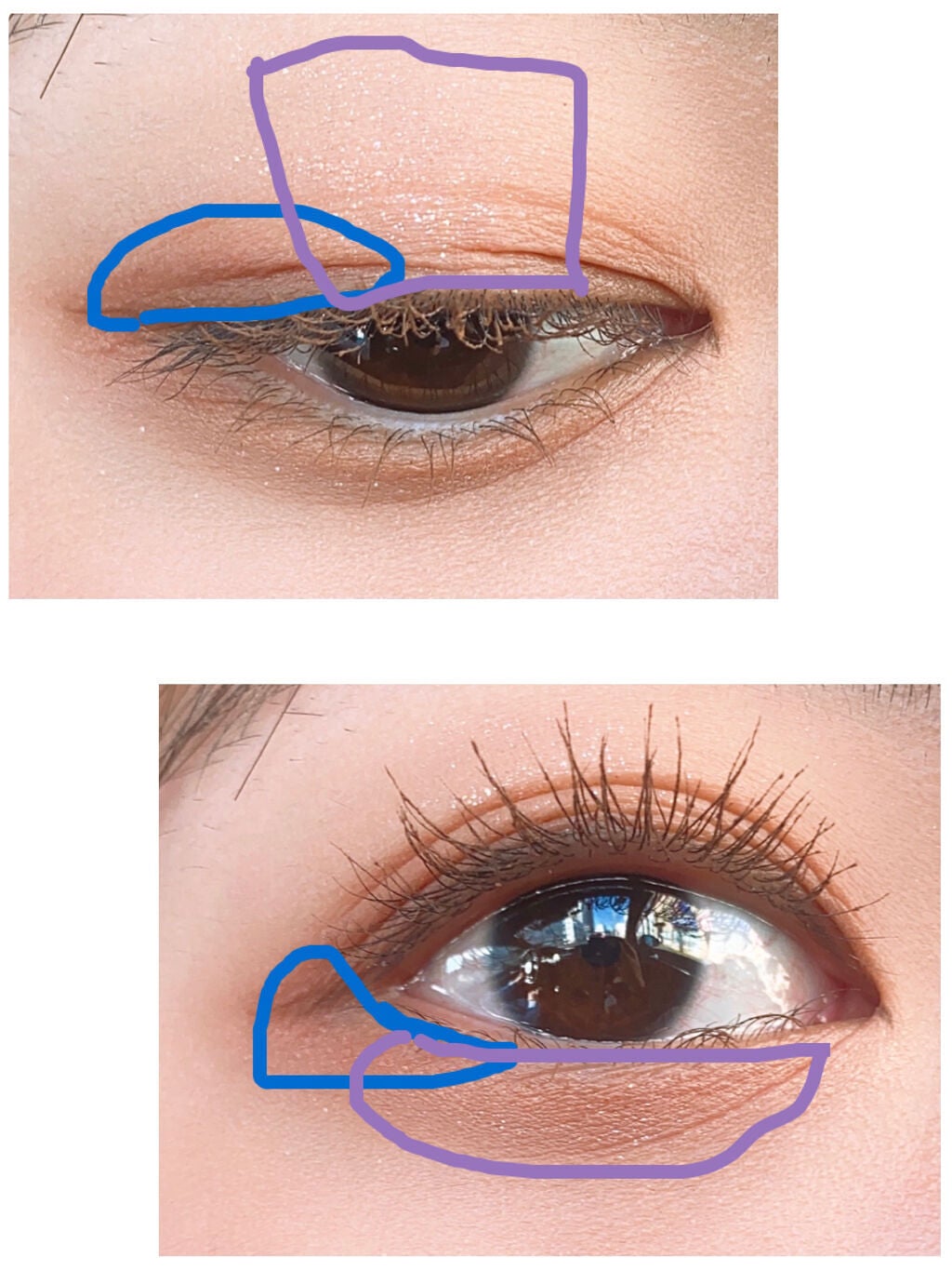 プロ アイ パレット/CLIO/アイシャドウパレットを使ったクチコミ(5枚目)