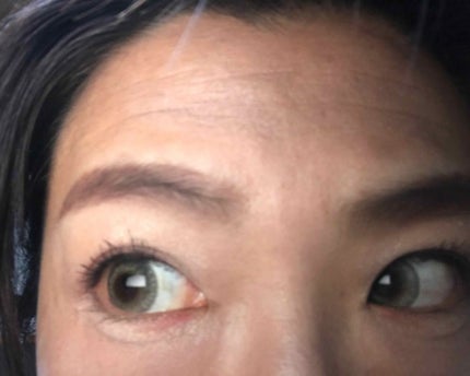 ロイヤルヴィンテージ アイズ/リンメル ロンドン/アイシャドウパレットを使ったクチコミ(2枚目)