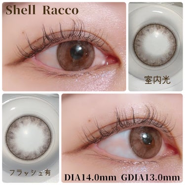 miium miium 1dayのクチコミ「#購入品紹介

miium 1day
シェルラッコ / ペルシアングラス
DIA14.0mm .....」（3枚目）