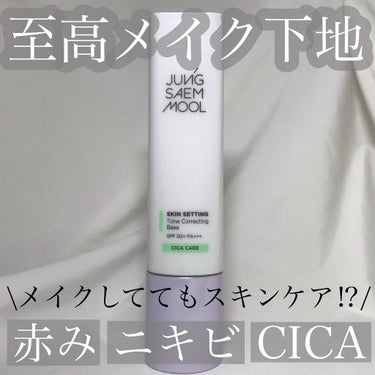 スキンセッティング トーンコレクティング ベース/JUNG SAEM MOOL/化粧下地を使ったクチコミ（1枚目）