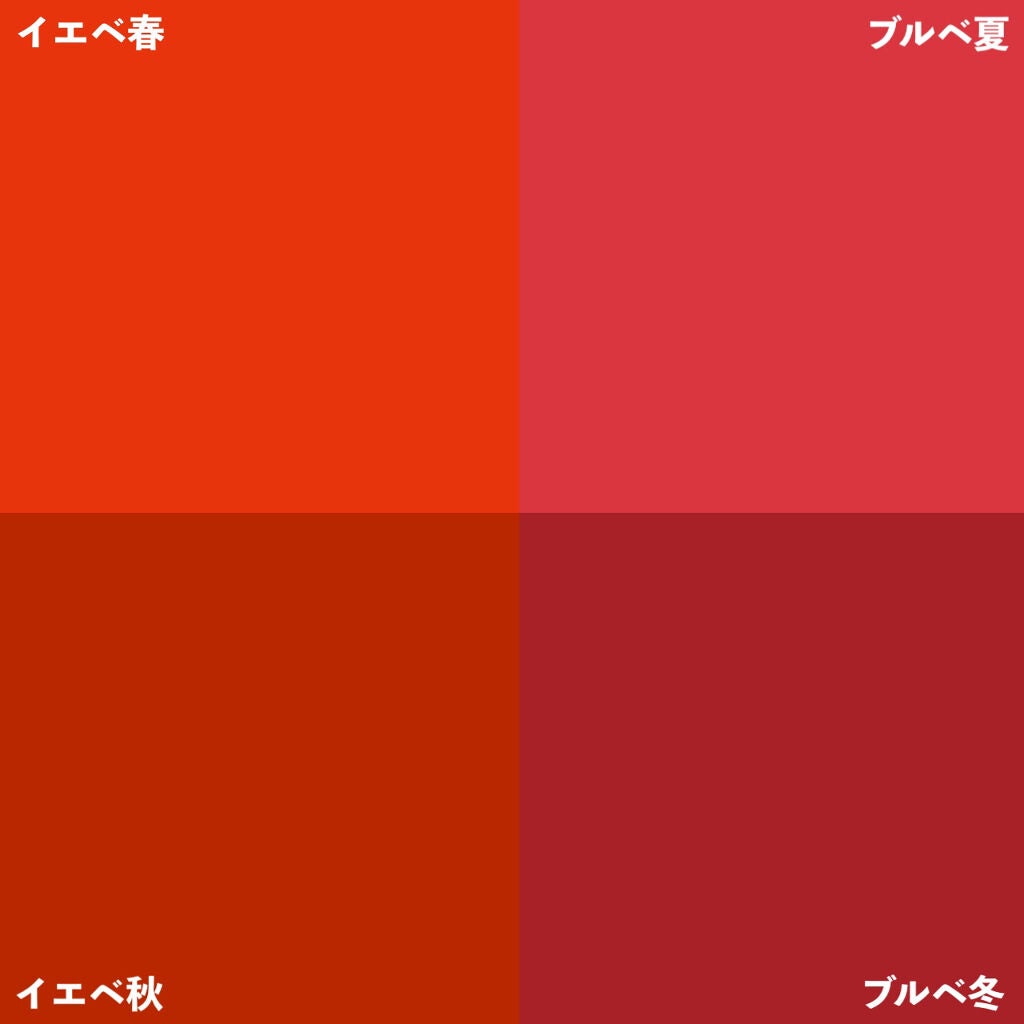 パーソナルカラー診断/Visée/その他を使ったクチコミ(5枚目)