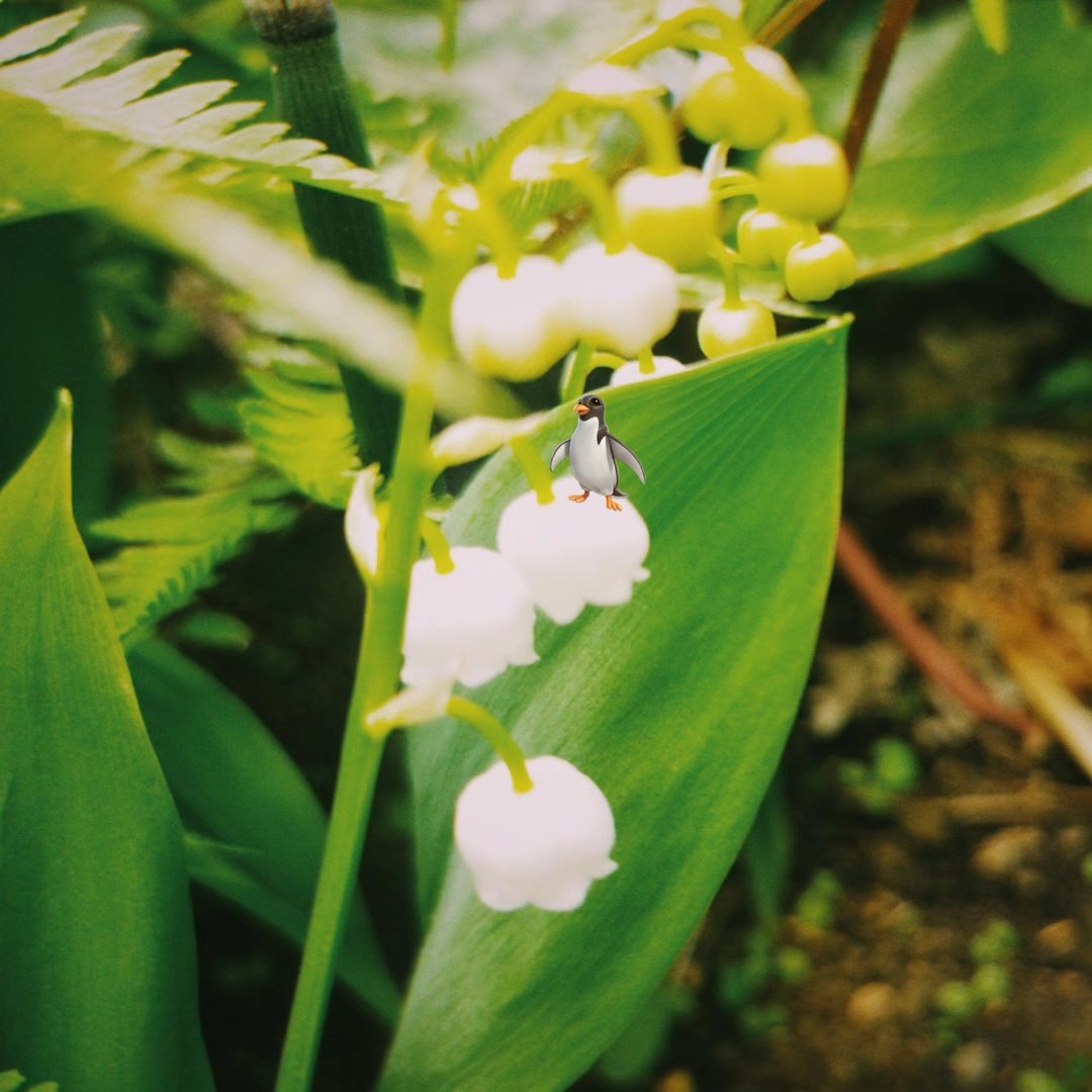 マキシマル シルキー マット リップスティック カフェ モカ/M・A・C/口紅を使ったクチコミ（2枚目）