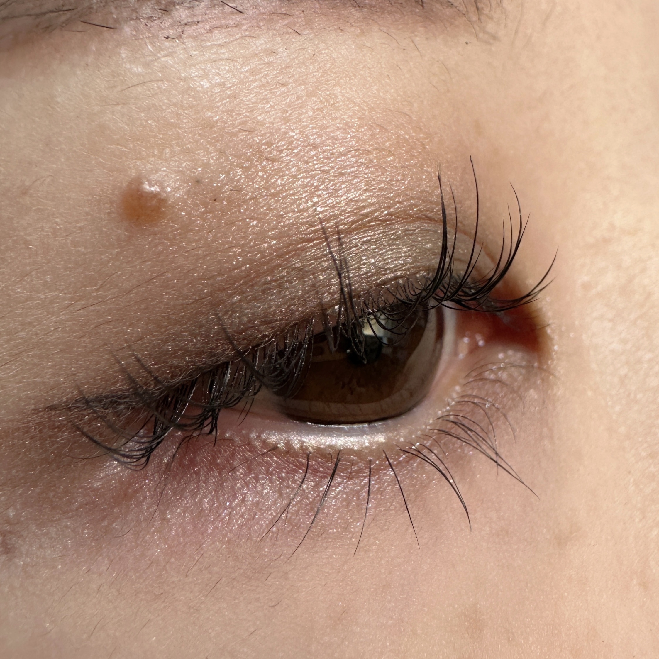 アイラッシュブラックコーティング/GLAMORIZE/マスカラを使ったクチコミ（3枚目）